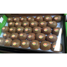 Kiwi fresco dulce para la exportación